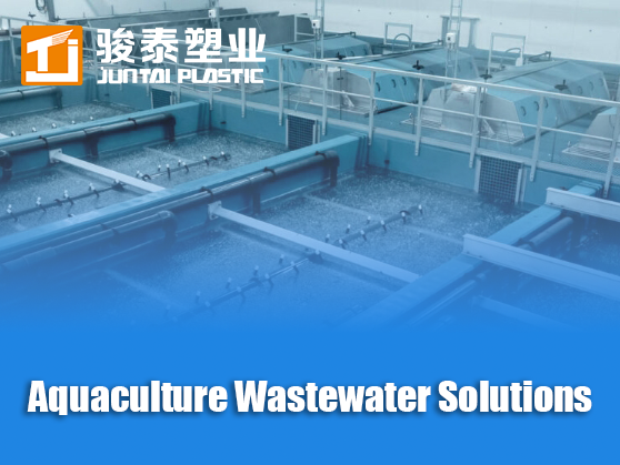 Aquaculture Wastewater Solutions: Zero Discharge Systems & 40% Feed Savings