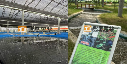 Aquaponics juntai mbbr media
