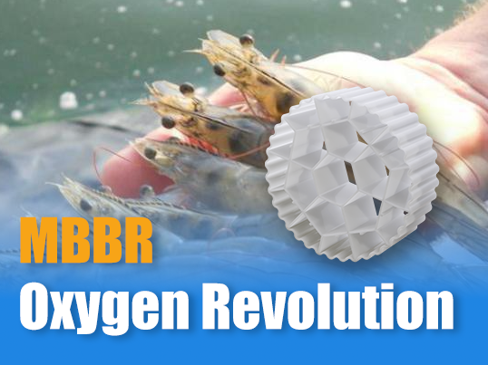 MBBR Oxygen Revolution: Slash Aeration Costs 40% in Aquaculture RAS