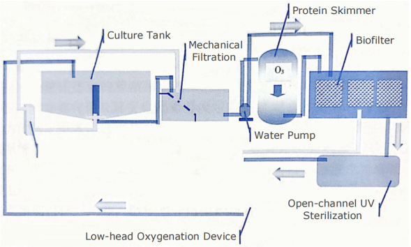low-head oxygenation device