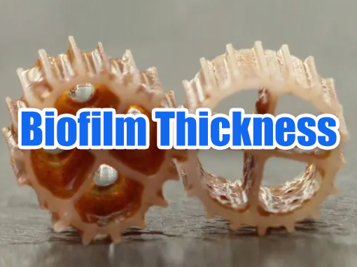 Mastering Biofilm Thickness: The Key to Unlocking MBBR Efficiency