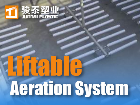 Liftable Aeration System Installation: Expert Tactics to Prevent Cable Failures & Misalignment