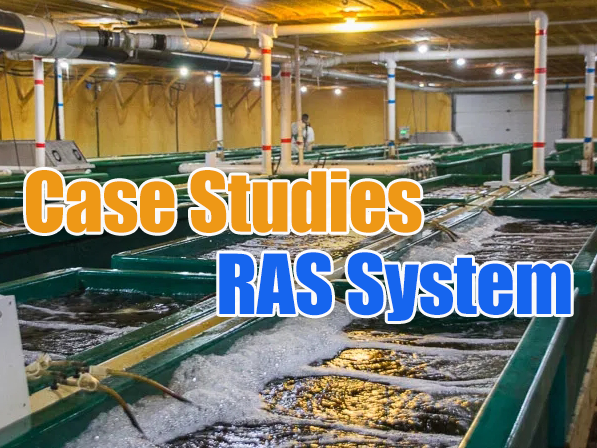 Design and Case Studies of Water  Treatment Engineering for RAS