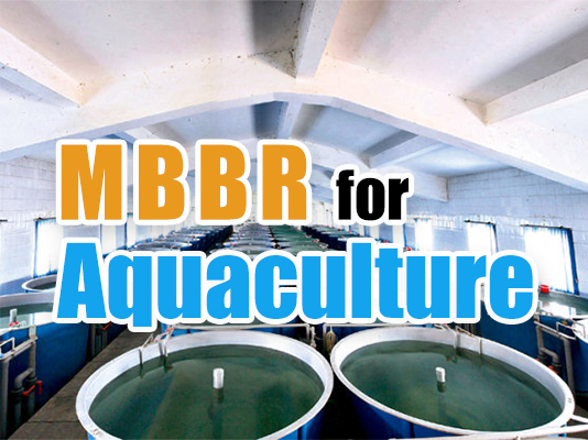 MBBR for Aquaculture: Slash Ammonia & Boost Fish Growth in RAS Systems