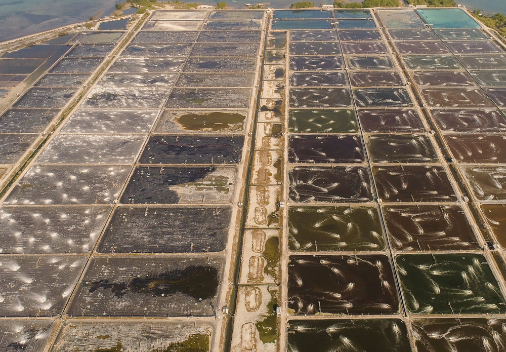 Offshore-Salmon-Farm-in-Norway