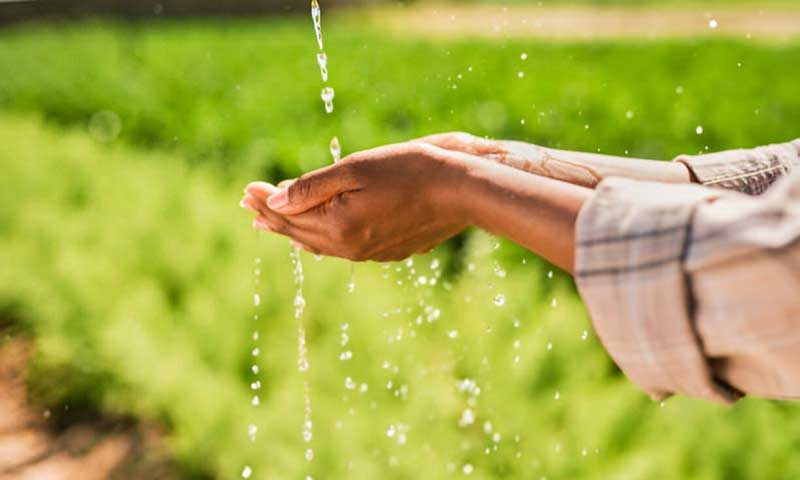 sustainability