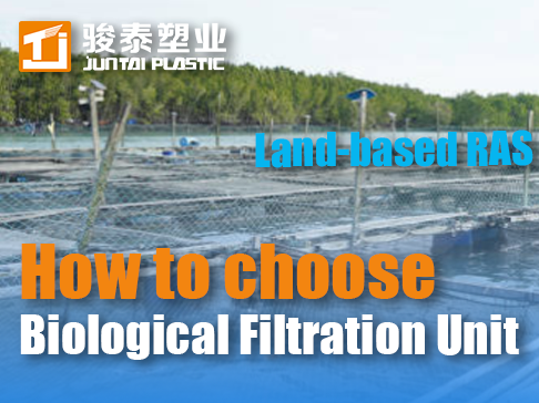 How to choose the biological filtration unit for land-based RAS