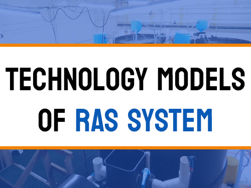 Industrial Recirculating Aquaculture Water Treatment Technology Models
