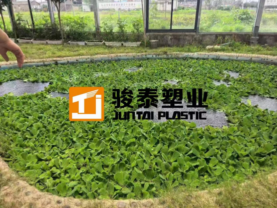 Aquaponics farming problem