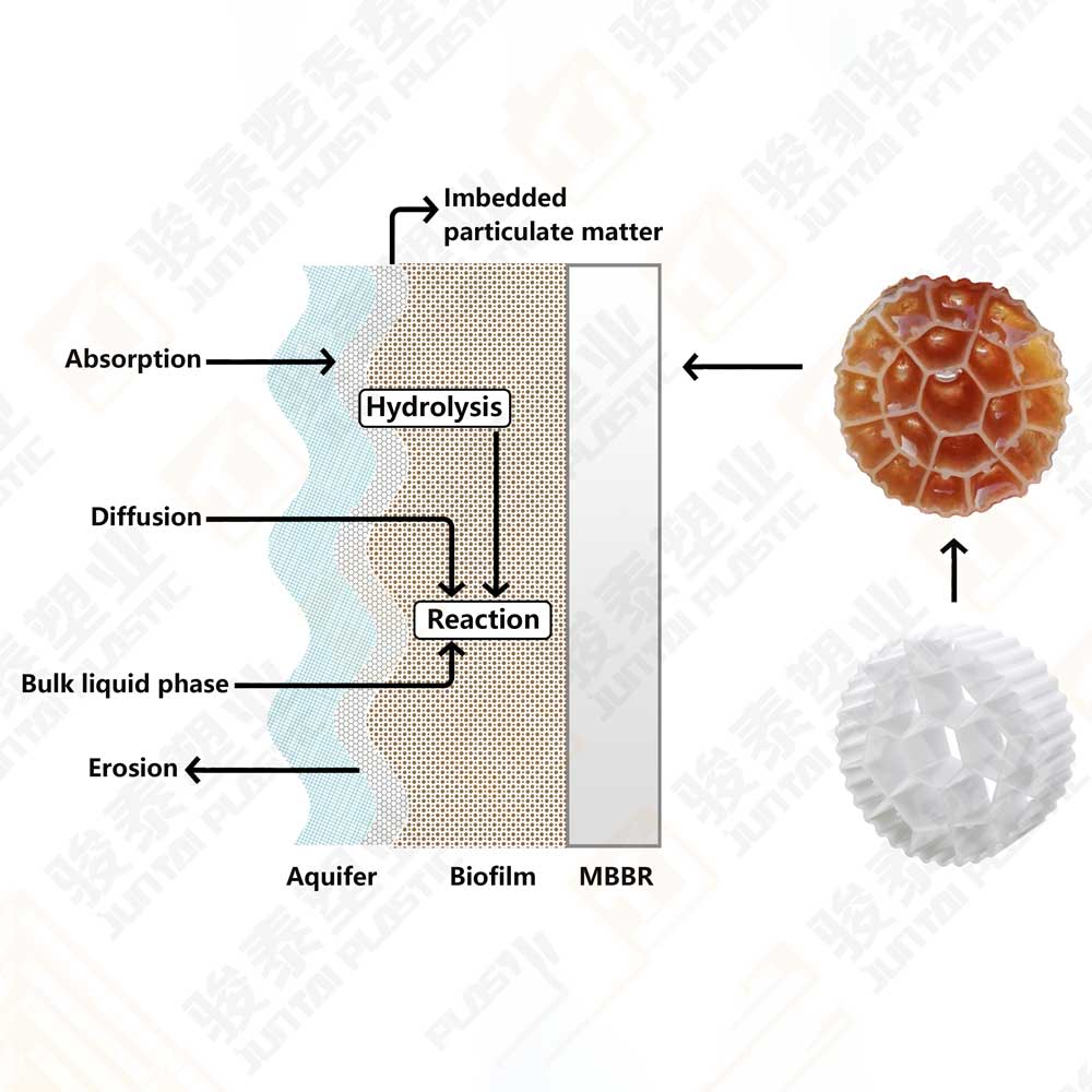 MBBR-Filter-Media-Working-Principle