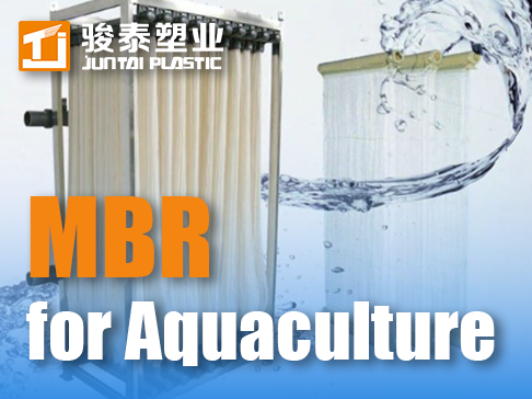 MBR for Aquaculture Wastewater: Treatment & Ecology Protection