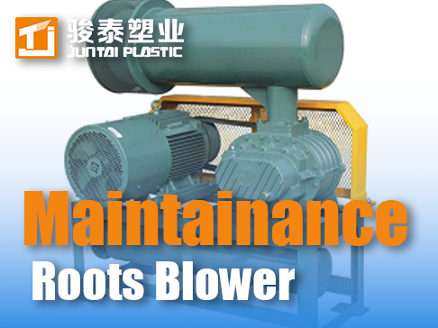 Roots Blower Maintenance Guide: Essential Procedures for Wastewater Aeration Systems