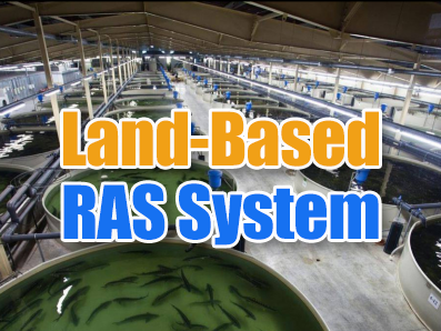 Land-based Recirculating Aquaculture System (RAS) Process Technology