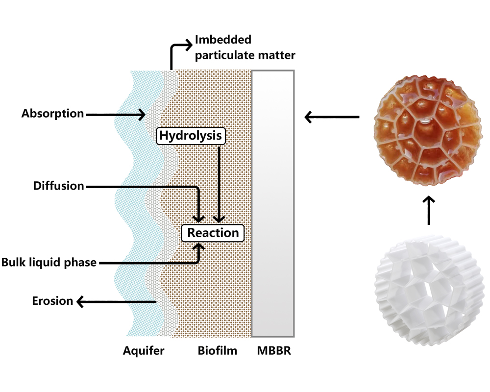 Key-Components-of-MBBR