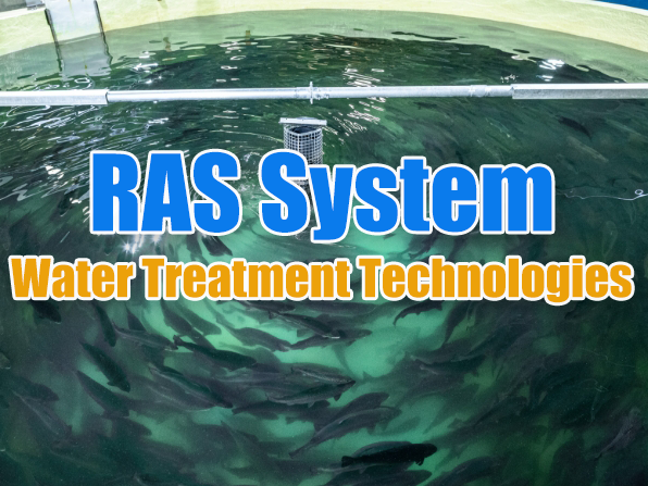 Water Treatment Technologies in RAS