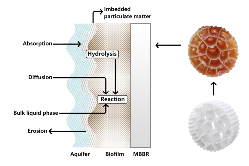 mbbr process