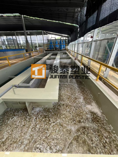 Aquaponics mbbr use