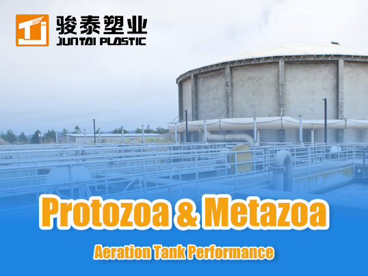 How to Assess Aeration Tank Performance Using Protozoa & Metazoa