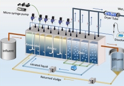 The Aerobic Stage in AAO Process: How It Works & Essential Equipment | Juntai Water Solutions